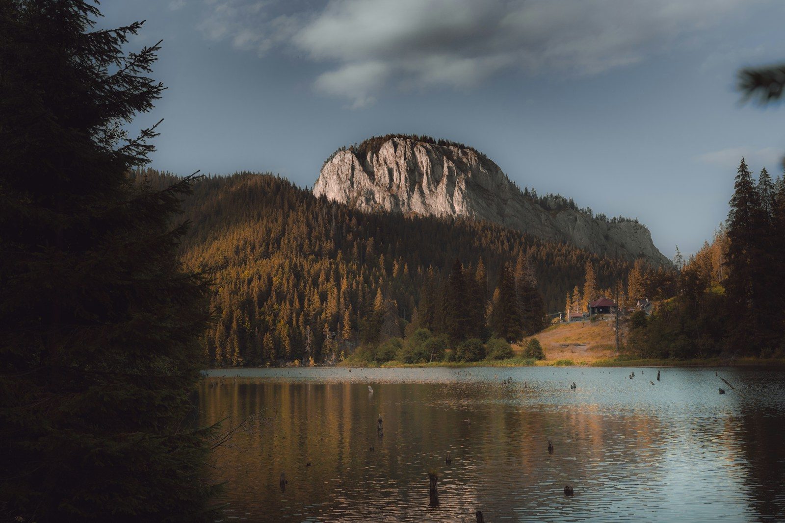 A calm lake reflecting a rocky mountain peak and dense pine forest